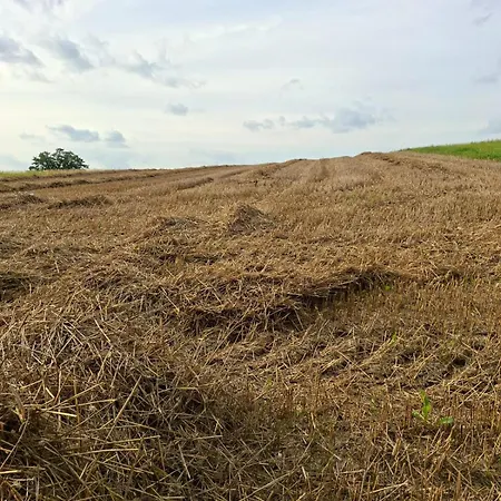 度假居 Haus Rottkaeppchen 埃克斯特塔尔