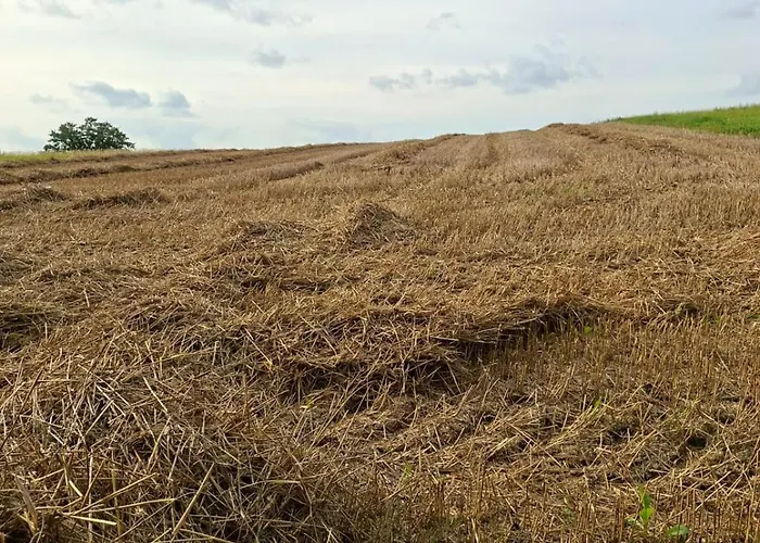 度假居 Haus Rottkaeppchen 埃克斯特塔尔